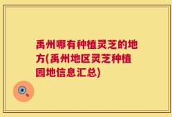 禹州哪有种植灵芝的地方(禹州地区灵芝种植园地信息汇总)