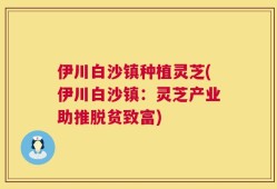 伊川白沙镇种植灵芝(伊川白沙镇：灵芝产业助推脱贫致富)