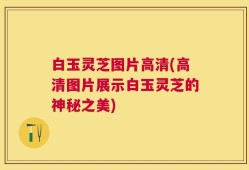 白玉灵芝图片高清(高清图片展示白玉灵芝的神秘之美)