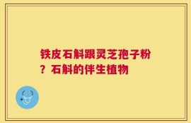 铁皮石斛跟灵芝孢子粉？石斛的伴生植物