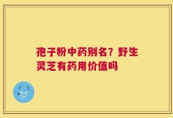 孢子粉中药别名？野生灵芝有药用价值吗