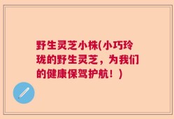 野生灵芝小株(小巧玲珑的野生灵芝，为我们的健康保驾护航！)