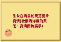 生长在海里的灵芝图片高清(壮丽海洋里的灵芝：高清图片展示)