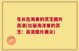 生长在海里的灵芝图片高清(壮丽海洋里的灵芝：高清图片展示)