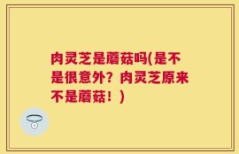 肉灵芝是蘑菇吗(是不是很意外？肉灵芝原来不是蘑菇！)
