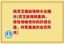 摘灵芝最新视频大全图片(灵芝新视频集锦，带你领略奇妙的药用价值，共赏最美的自然风光)