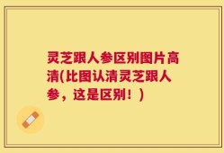 灵芝跟人参区别图片高清(比图认清灵芝跟人参，这是区别！)