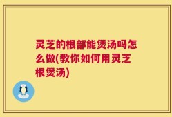 灵芝的根部能煲汤吗怎么做(教你如何用灵芝根煲汤)