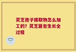 灵芝孢子提取物怎么加工的？灵芝菌包生长全过程