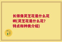 长得像灵芝花是什么花啊(灵芝花是什么花？特点和种类介绍)