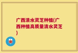 广西清水灵芝种植(广西种植高质量清水灵芝)