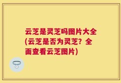 云芝是灵芝吗图片大全(云芝是否为灵芝？全面查看云芝图片)