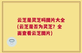 云芝是灵芝吗图片大全(云芝是否为灵芝？全面查看云芝图片)