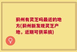 蓟州有灵芝吗最近的地方(蓟州新发现灵芝产地，近期可供采摘)