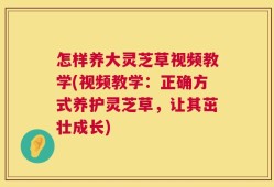 怎样养大灵芝草视频教学(视频教学：正确方式养护灵芝草，让其茁壮成长)