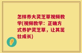 怎样养大灵芝草视频教学(视频教学：正确方式养护灵芝草，让其茁壮成长)