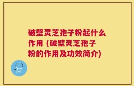 破壁灵芝孢子粉起什么作用 (破壁灵芝孢子粉的作用及功效简介)