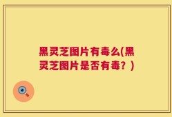 黑灵芝图片有毒么(黑灵芝图片是否有毒？)