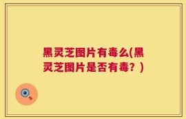 黑灵芝图片有毒么(黑灵芝图片是否有毒？)
