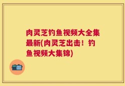 肉灵芝钓鱼视频大全集最新(肉灵芝出击！钓鱼视频大集锦)