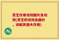 灵芝作用功效图片及功效(灵芝的功效及图片，详解其强大作用)