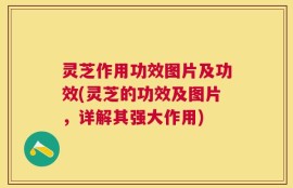 灵芝作用功效图片及功效(灵芝的功效及图片，详解其强大作用)