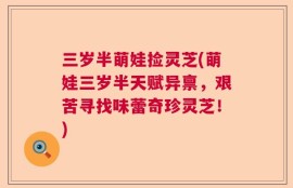 三岁半萌娃捡灵芝(萌娃三岁半天赋异禀，艰苦寻找味蕾奇珍灵芝！)