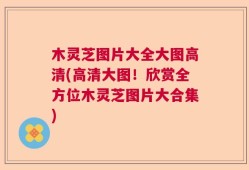 木灵芝图片大全大图高清(高清大图！欣赏全方位木灵芝图片大合集)