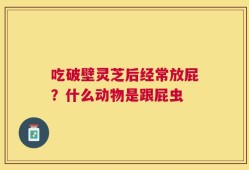 吃破壁灵芝后经常放屁？什么动物是跟屁虫