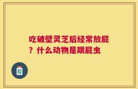 吃破壁灵芝后经常放屁？什么动物是跟屁虫