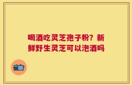 喝酒吃灵芝孢子粉？新鲜野生灵芝可以泡酒吗