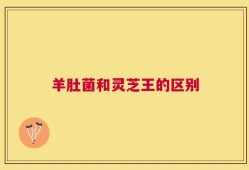 羊肚菌和灵芝王的区别