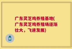 广东灵芝鸡养殖基地(广东灵芝鸡养殖场逐渐壮大，飞速发展)