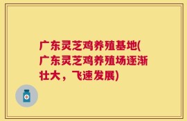 广东灵芝鸡养殖基地(广东灵芝鸡养殖场逐渐壮大，飞速发展)