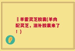 滛羊霍灵芝胶囊(羊肉配灵芝，滋补胶囊来了！)
