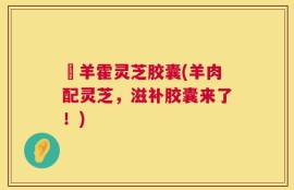 滛羊霍灵芝胶囊(羊肉配灵芝，滋补胶囊来了！)