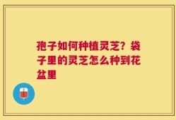 孢子如何种植灵芝？袋子里的灵芝怎么种到花盆里