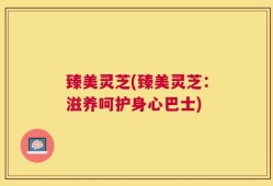 臻美灵芝(臻美灵芝：滋养呵护身心巴士)