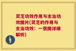 灵芝功效作用与主治功效图片(灵芝的作用与主治功效：一张图详细解析)