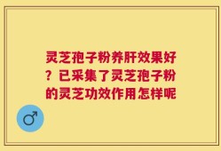 灵芝孢子粉养肝效果好？已采集了灵芝孢子粉的灵芝功效作用怎样呢