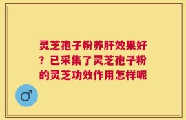 灵芝孢子粉养肝效果好？已采集了灵芝孢子粉的灵芝功效作用怎样呢