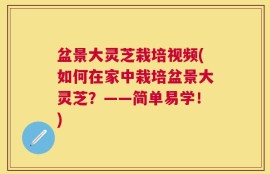 盆景大灵芝栽培视频(如何在家中栽培盆景大灵芝？——简单易学！)