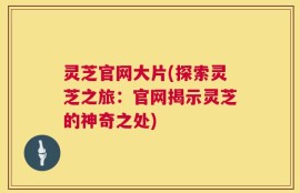 灵芝官网大片(探索灵芝之旅：官网揭示灵芝的神奇之处)