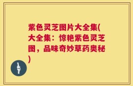 紫色灵芝图片大全集(大全集：惊艳紫色灵芝图，品味奇妙草药奥秘)