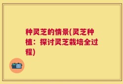 种灵芝的情景(灵芝种植：探讨灵芝栽培全过程)