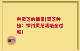 种灵芝的情景(灵芝种植：探讨灵芝栽培全过程)
