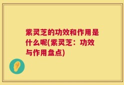 紫灵芝的功效和作用是什么呢(紫灵芝：功效与作用盘点)