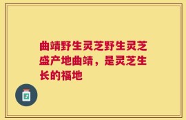 曲靖野生灵芝野生灵芝盛产地曲靖，是灵芝生长的福地
