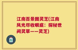 江南百景图灵芝(江南风光尽收眼底：探秘世间灵草——灵芝)