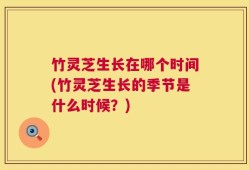 竹灵芝生长在哪个时间(竹灵芝生长的季节是什么时候？)